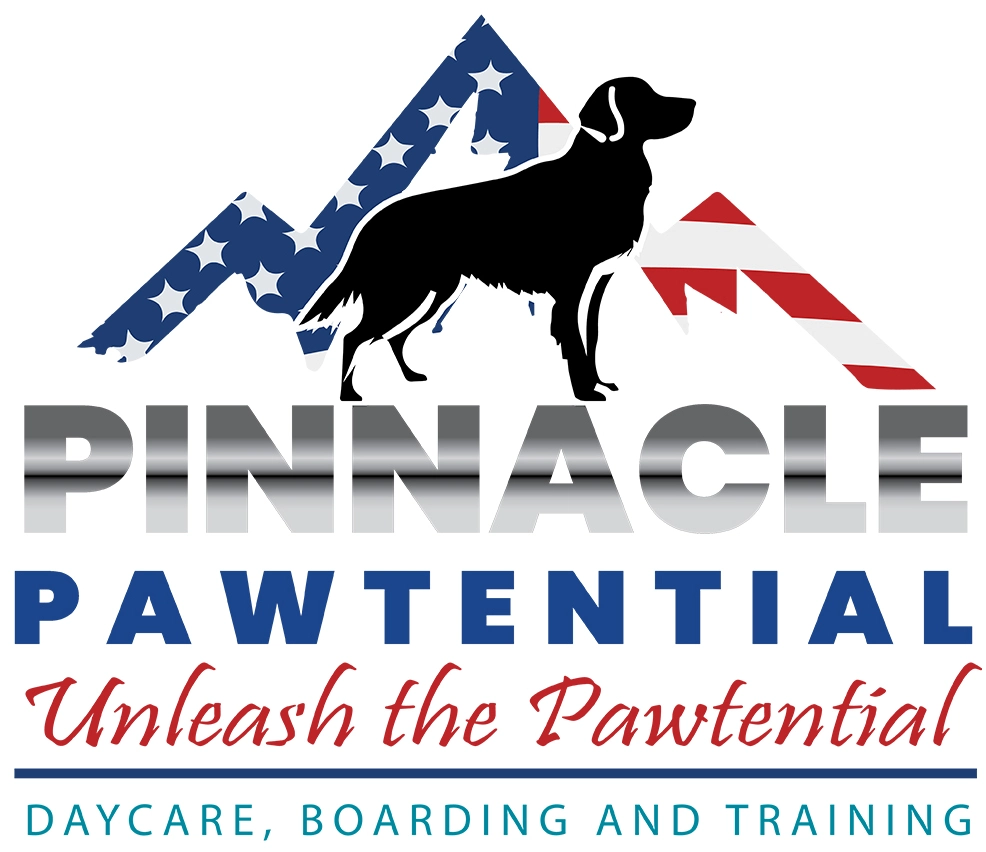 6823a904682f2_Pawtential logo - with catch phrase and services - white background