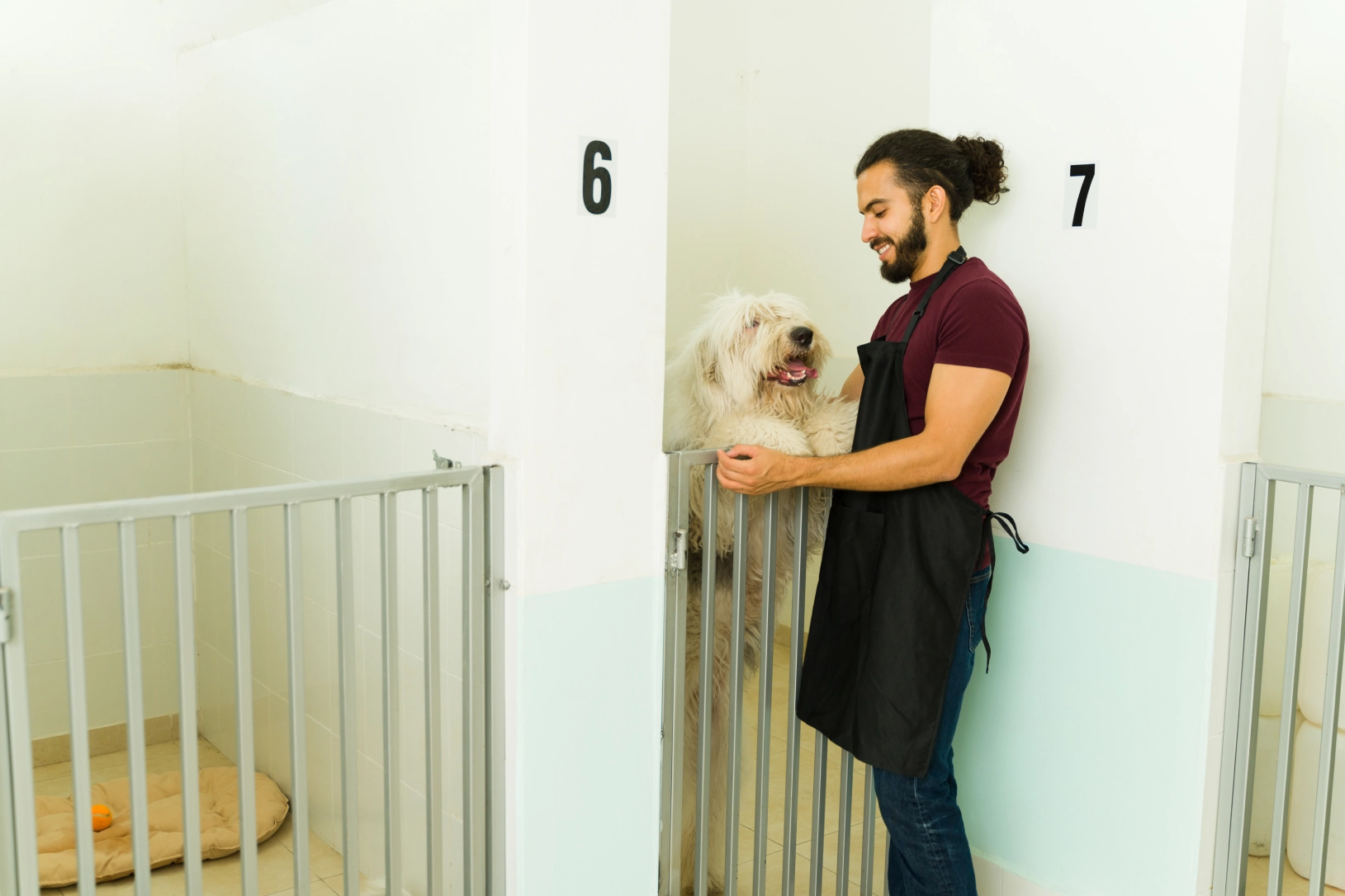 Man interacting with dog in kennel.